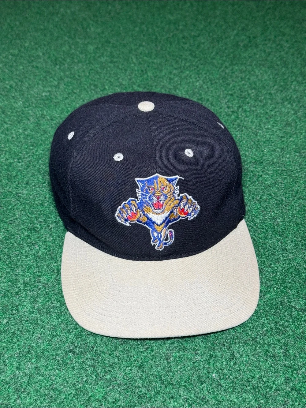 Vintage 90s Florida Panthers SnapBack Hat, Hockey NHL Twins Wool Cap